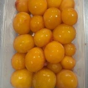 Oocyte (Egg Yolks) 