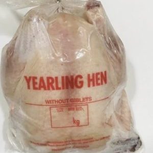 Yearling Hens